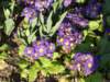 dscf1331_small.jpg