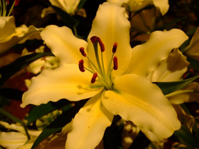 dscf2150.jpg