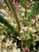 dscf2157_small.jpg