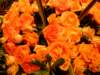 dscf2159_small.jpg