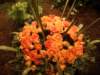 dscf2161_small.jpg