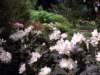 dscf2164_small.jpg