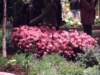 dscf2165_small.jpg