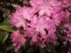 dscf2167_small.jpg
