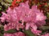 dscf2168_small.jpg