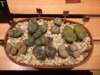 dscf2171_small.jpg