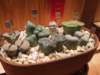 dscf2172_small.jpg