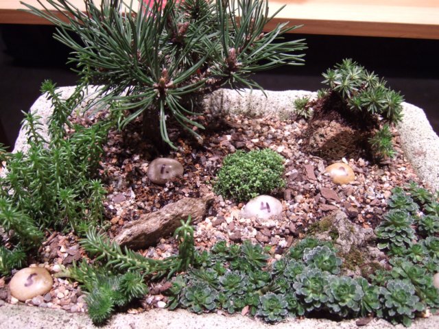 dscf2174.jpg