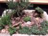 dscf2174_small.jpg