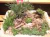 dscf2175_small.jpg