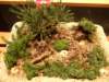 dscf2176_small.jpg
