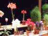 dscf2181_small.jpg