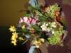 dscf2190_small.jpg