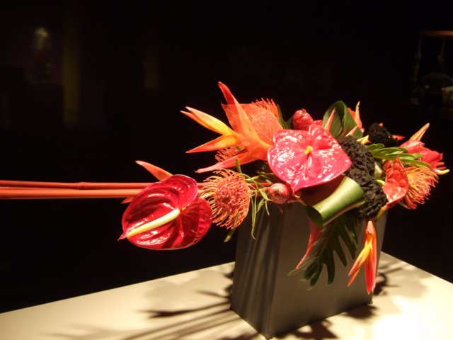 dscf2193.jpg