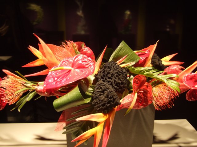 dscf2195.jpg