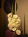dscf2197_small.jpg