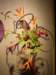 dscf2198_small.jpg
