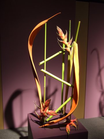 dscf2199.jpg