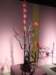 dscf2200_small.jpg