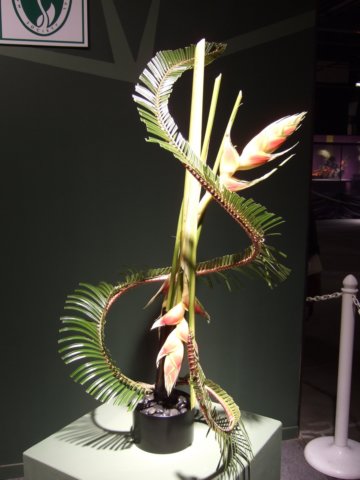 dscf2201.jpg