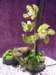 dscf2205_small.jpg