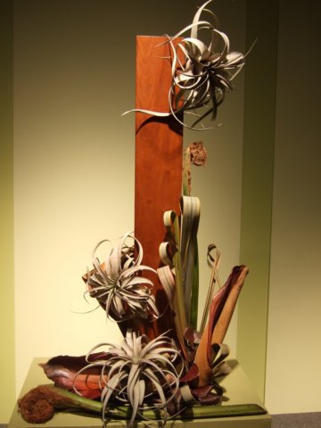 dscf2211.jpg
