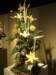dscf2212_small.jpg