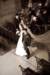crw_01232_small.jpg