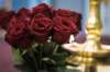 dsc06177_small.jpg