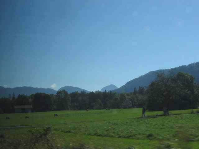 img_1230.jpg