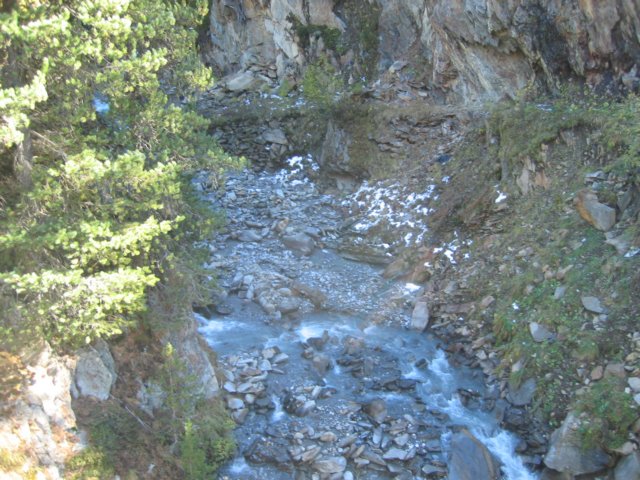 img_1290.jpg