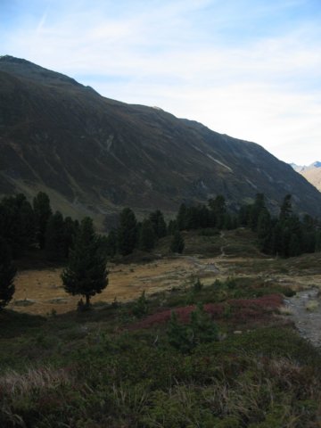 img_1360.jpg