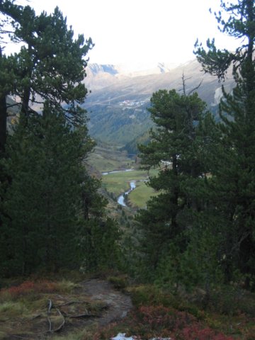 img_1366.jpg