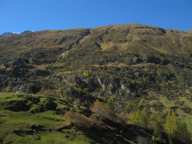 stc_1275.jpg
