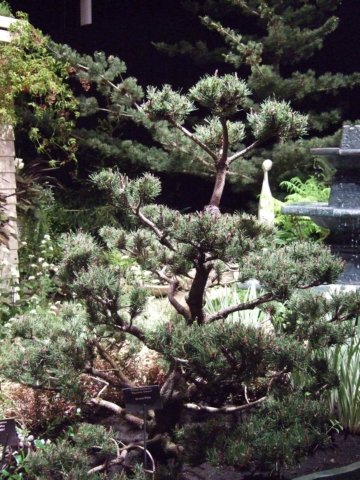 dscf2133.jpg