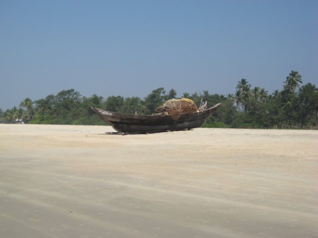 img_1236.jpg