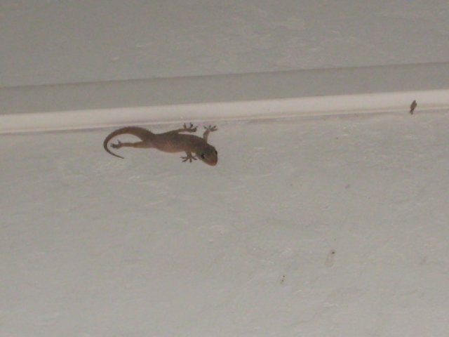 img_1255.jpg