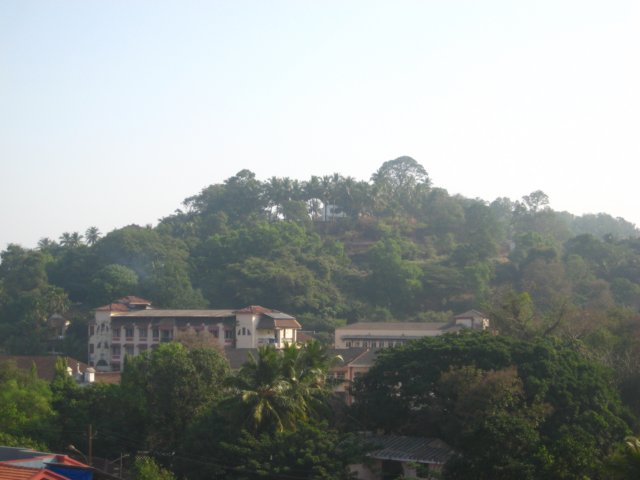 img_1341.jpg
