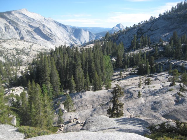 img_2298.jpg