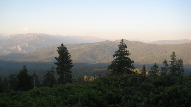 img_2397.jpg