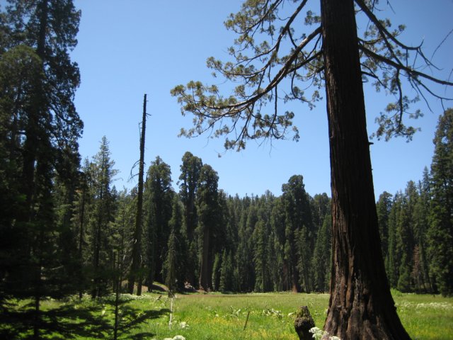 img_2407.jpg