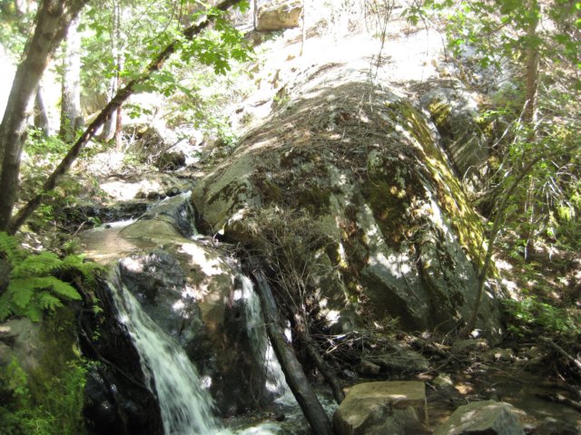 img_2463.jpg