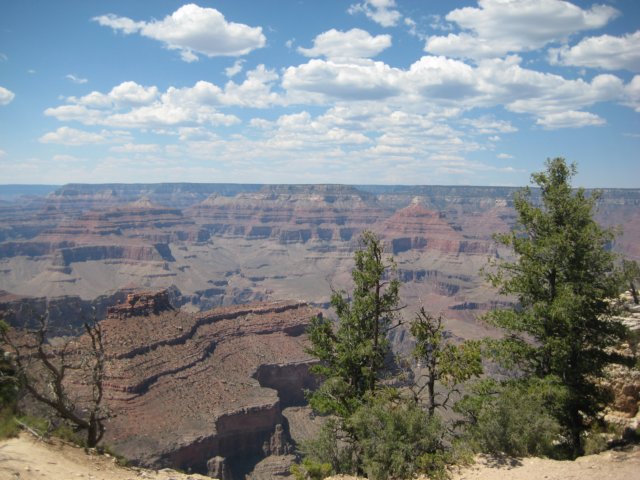 img_2524.jpg