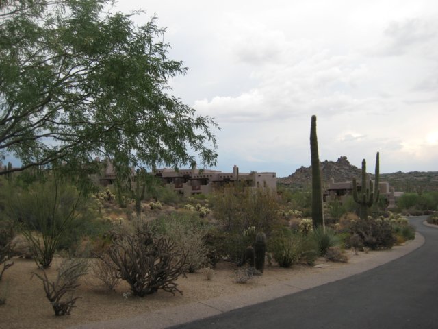 img_2697.jpg