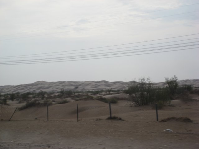 img_2798.jpg