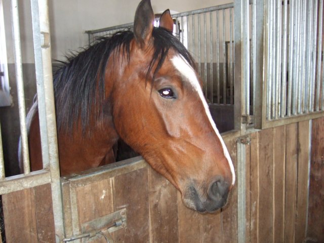dscf3323.jpg