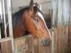 dscf3323_small.jpg