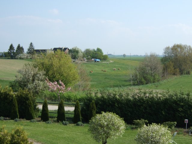dscf3328.jpg