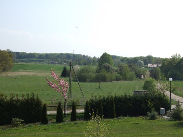 dscf3329.jpg