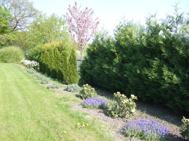 dscf3333.jpg